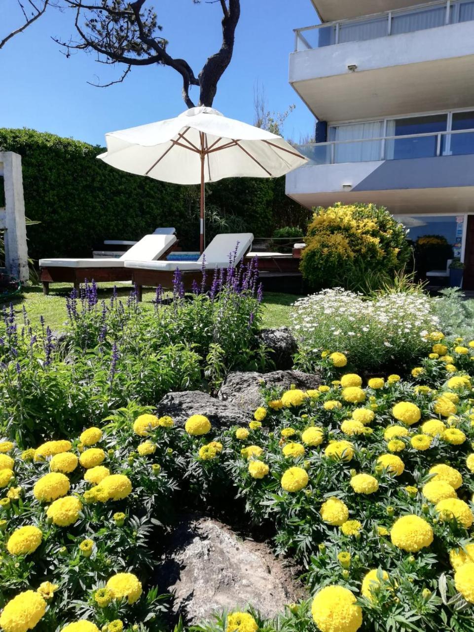 Bda Hotel & Spa Maldonado Exterior photo
