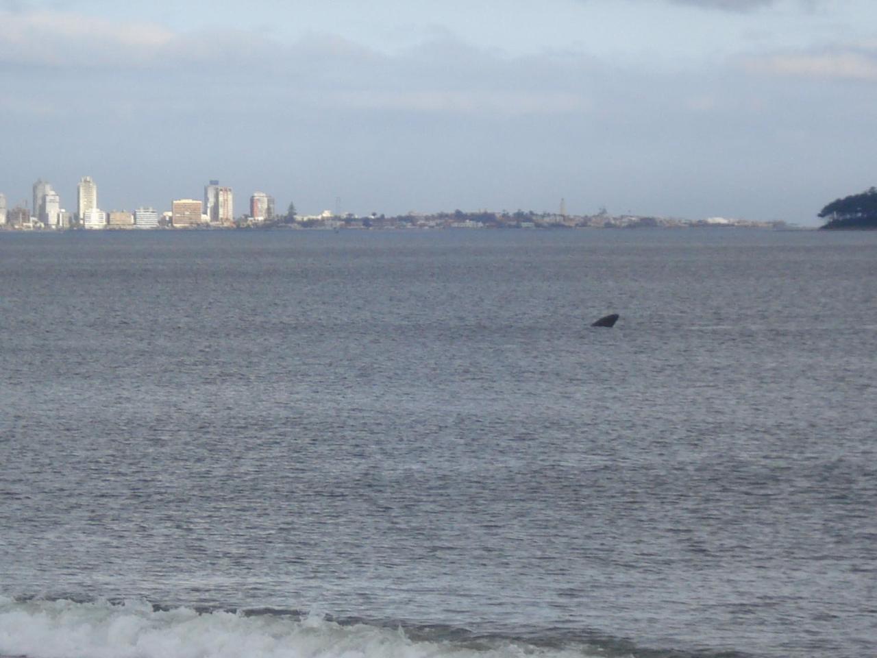 Bda Hotel & Spa Punta del Este Exterior photo